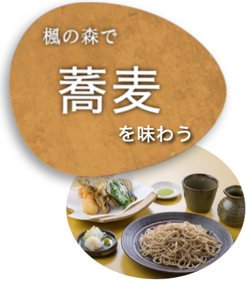 森のそば屋清エ門 茨城の美味しいそば 蕎麦好き人気水戸近郊のそば屋 癒しの庭ランチ楓の森隠れ家 森のそば屋清エ門 茨城の美味しいそば 蕎麦好き人気水戸近郊のそば屋 癒しの庭ランチ楓の森隠れ家
